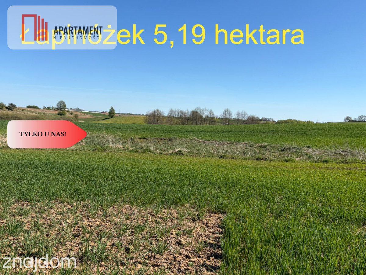 Działka rolna Łapinóżek 5,19 hektara - zdjęcie 2