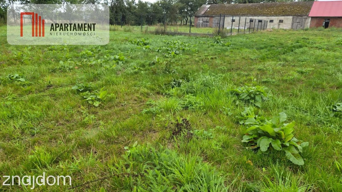Działki z perspektywą na pełnych uroku terenach - zdjęcie 3