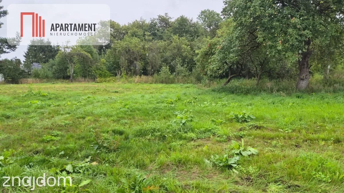 Działki z perspektywą na pełnych uroku terenach - zdjęcie 4