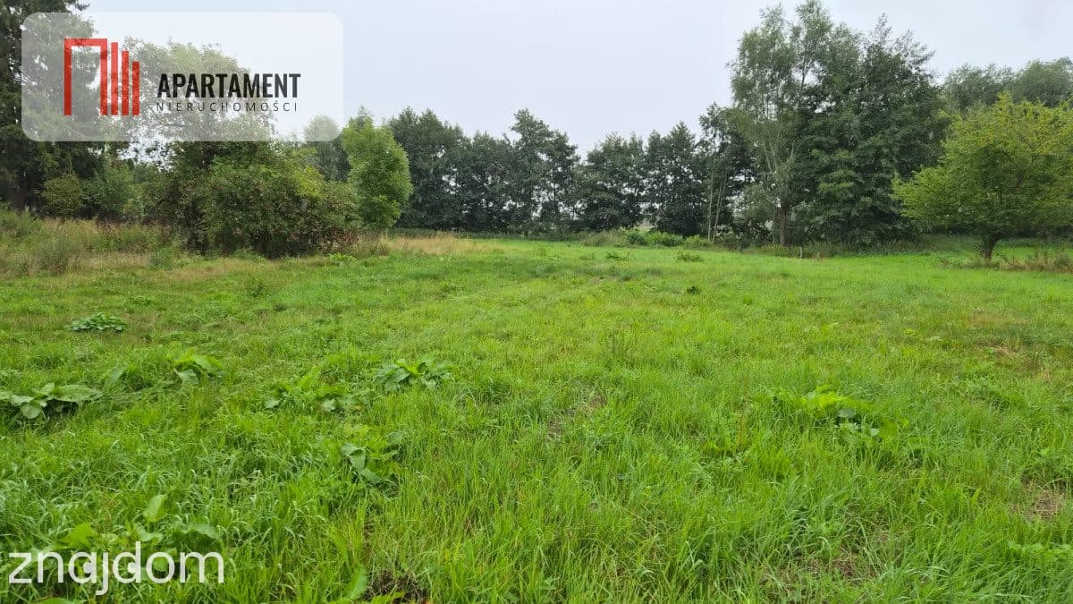 Działki z perspektywą na pełnych uroku terenach - zdjęcie 6