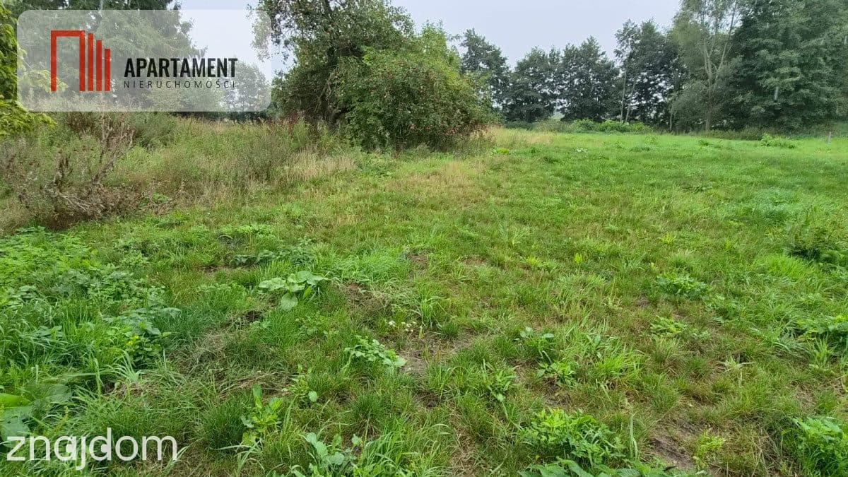 Działki z perspektywą na pełnych uroku terenach - zdjęcie 8