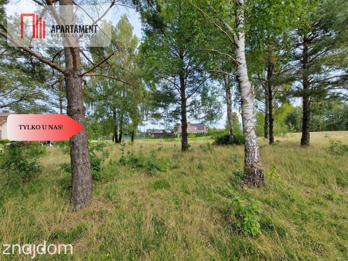 Kaszuby – działka pod dom 1105 m² - zdjęcie 4