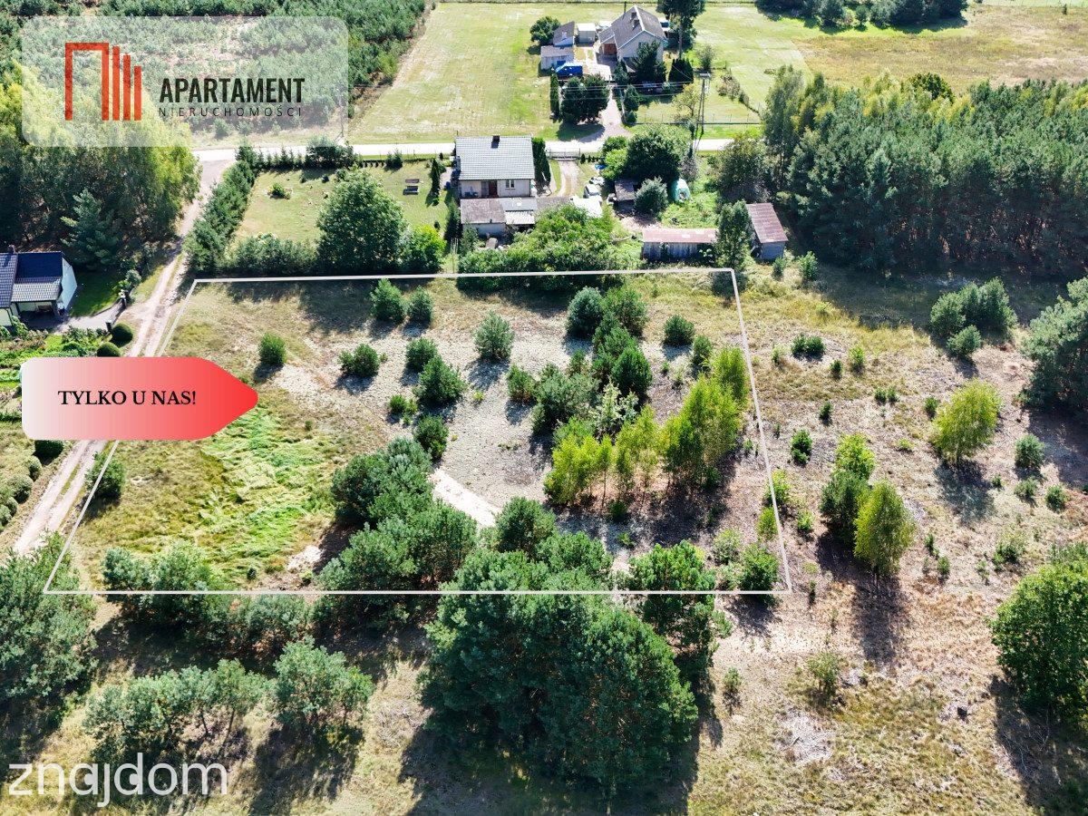 Tylko u nas! Działka 3229m² Krąplewice przy lesie - zdjęcie 3