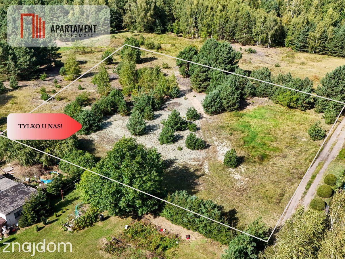 Tylko u nas! Działka 3229m² Krąplewice przy lesie - zdjęcie 4