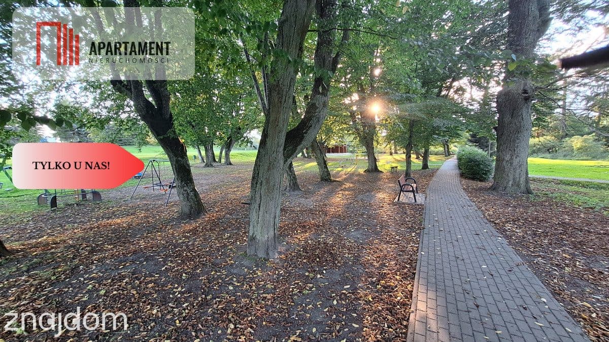 MIESZKANIE 27 m² + DZIAŁKI! - zdjęcie 9