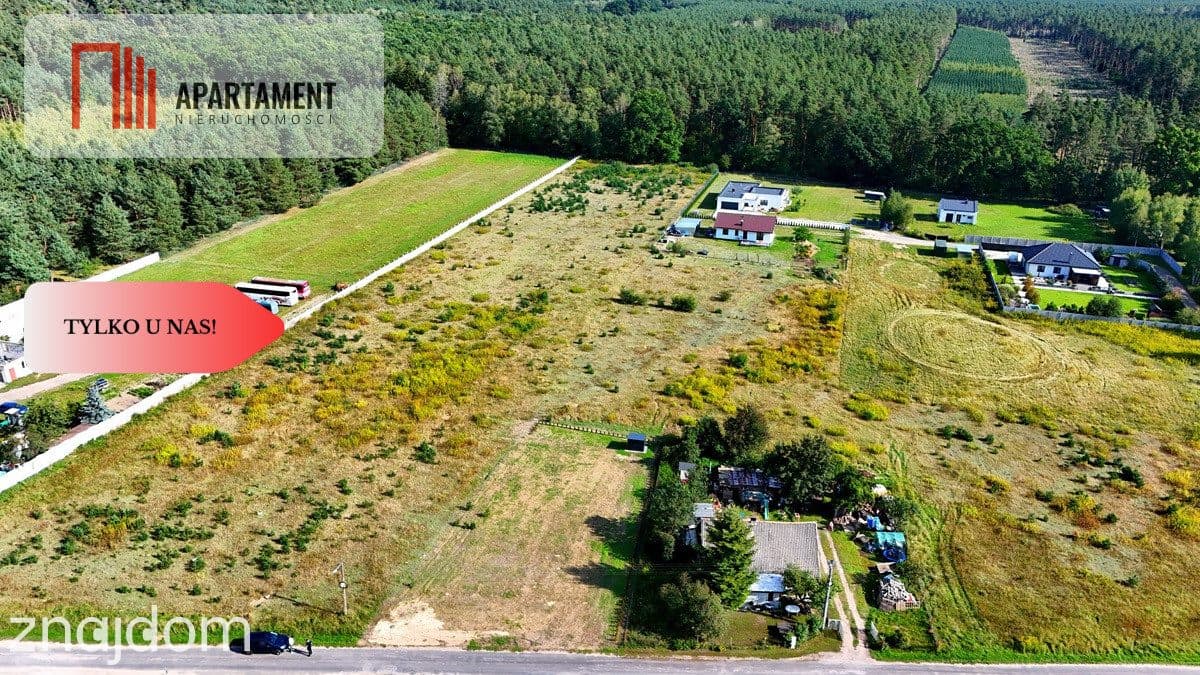 Działka Wałdowo Królewskie 1563m przy ścianie lasu - zdjęcie 2