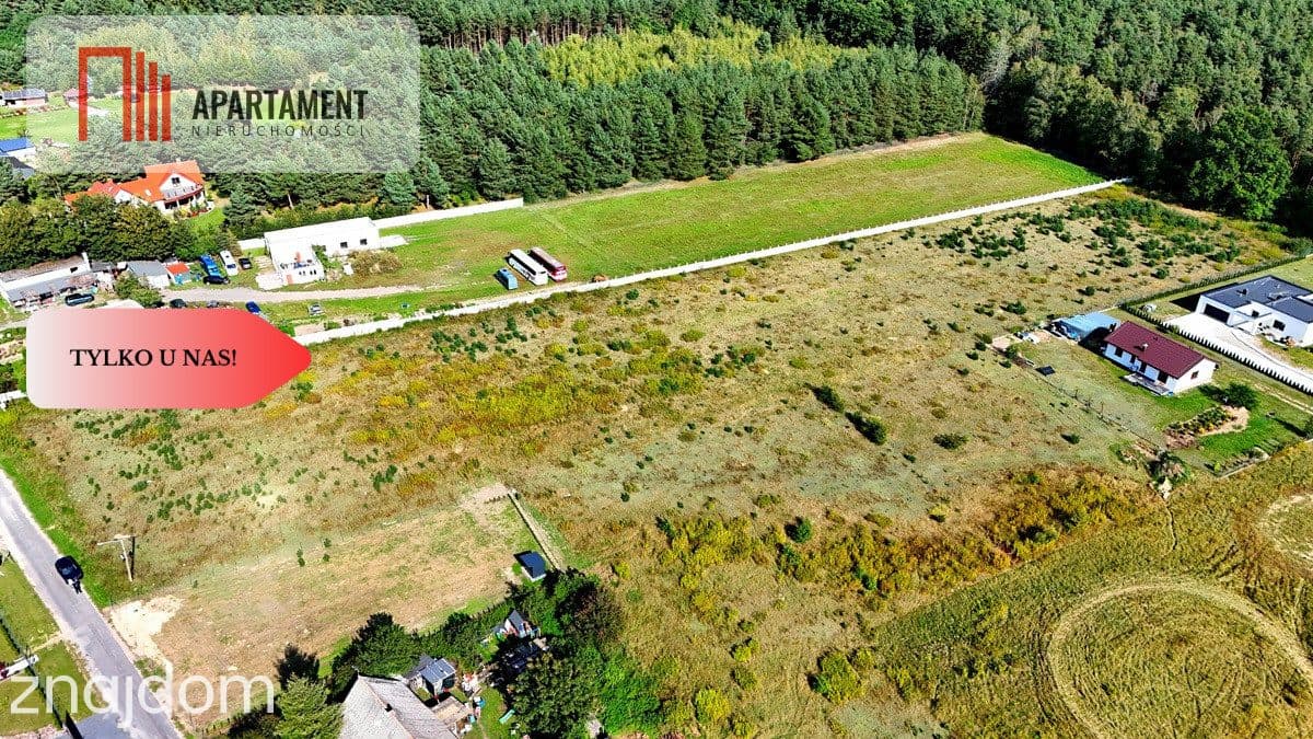 Działka Wałdowo Królewskie 1563m przy ścianie lasu - zdjęcie 4