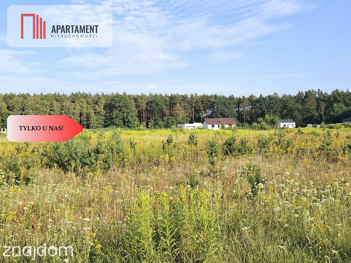 Działka Wałdowo Królewskie 1563m przy ścianie lasu - zdjęcie 6