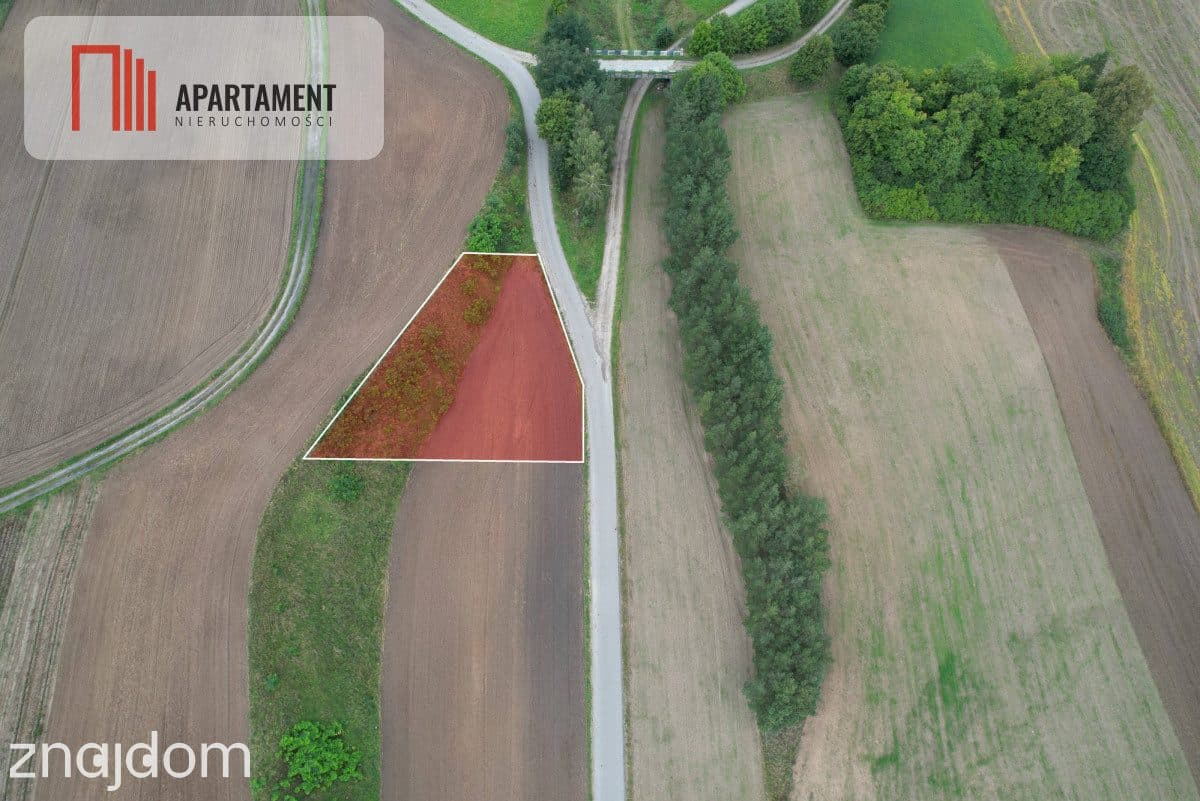 Działka 1280 m2 Liniewskie Góry - zdjęcie 2