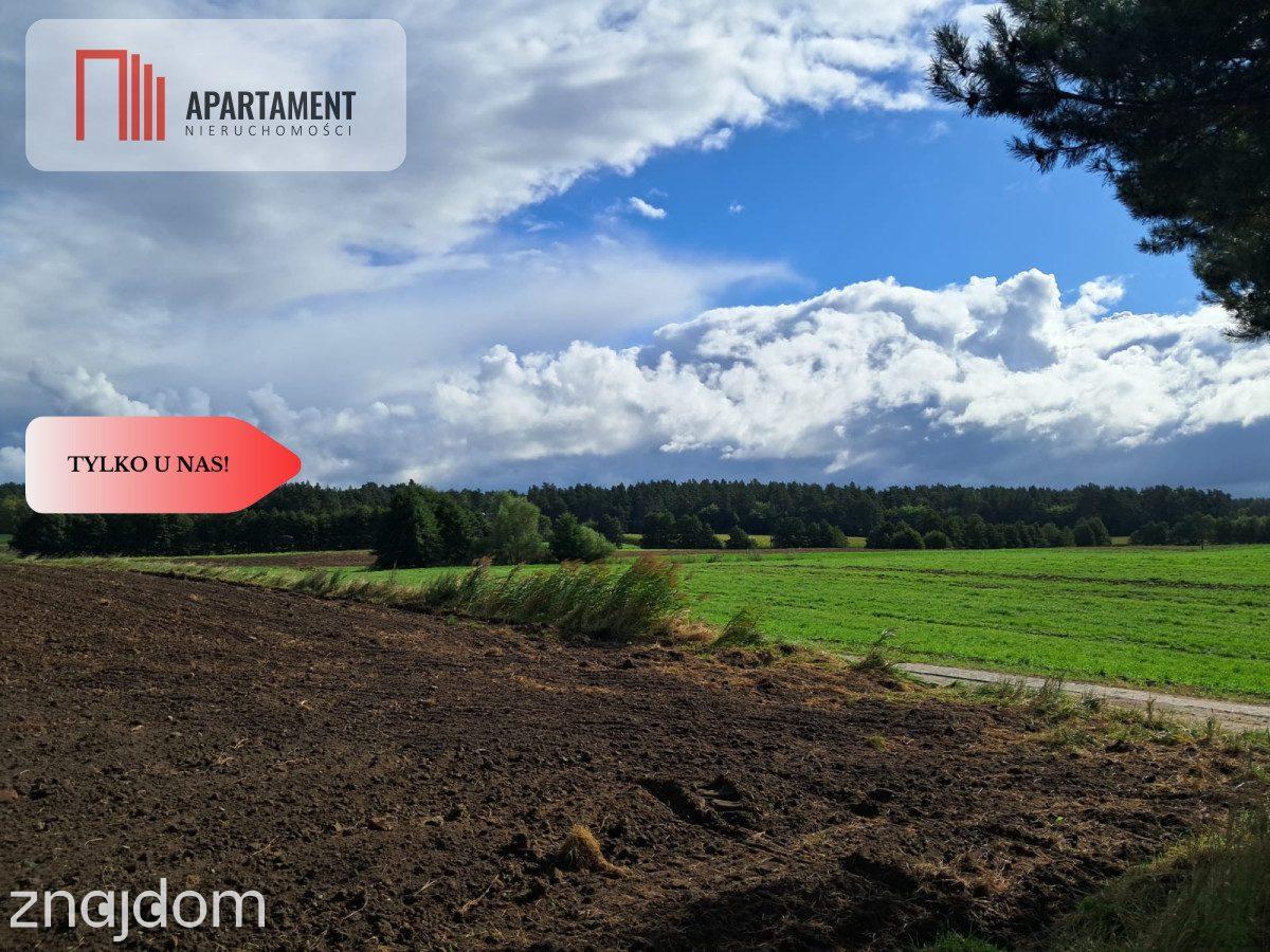 Dom bliźniak-Działka 600 m² z widokiem na Las - zdjęcie 8