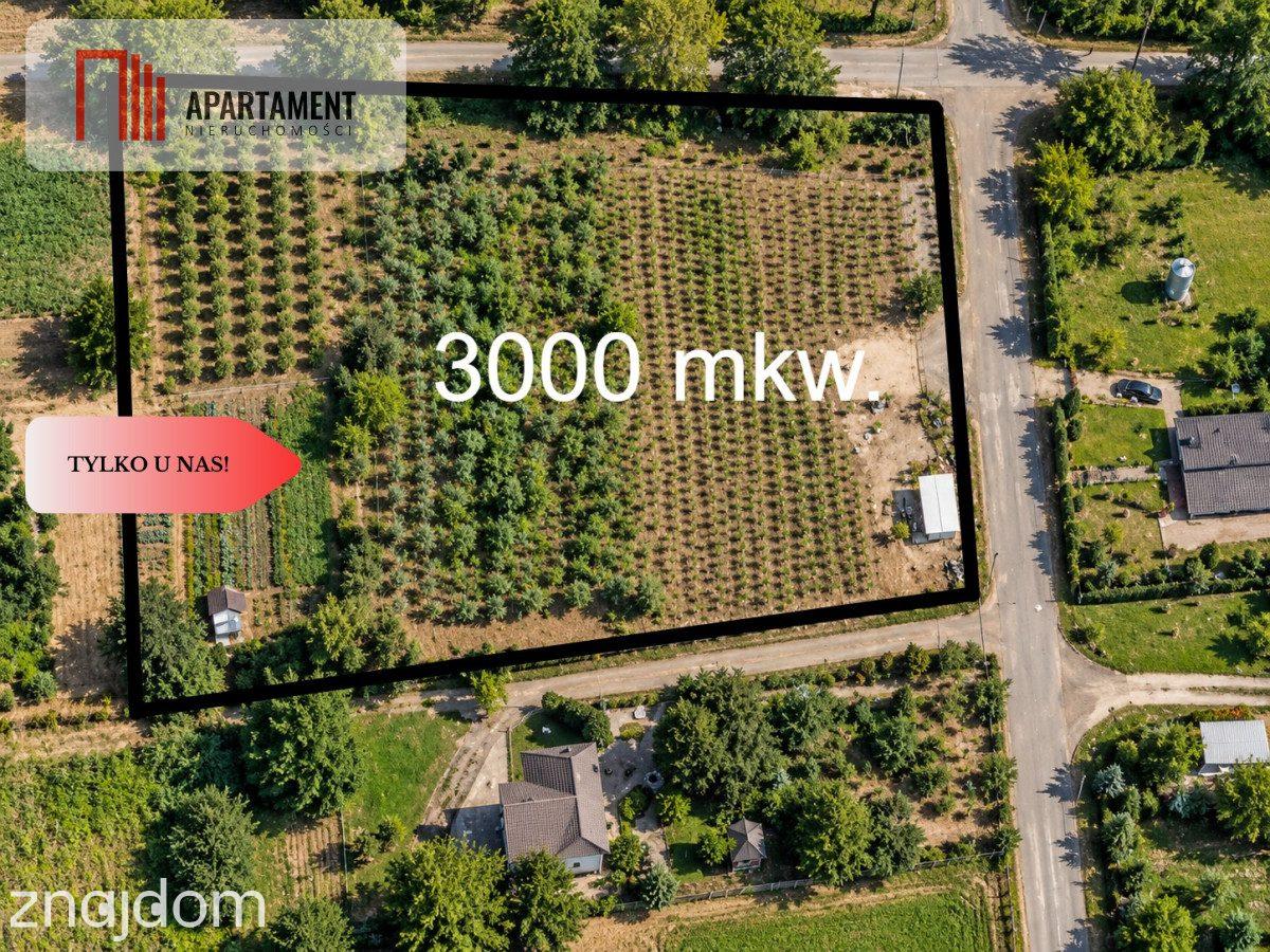 Działka pod zabudowę zagrodową - 2000 świerków - zdjęcie 10