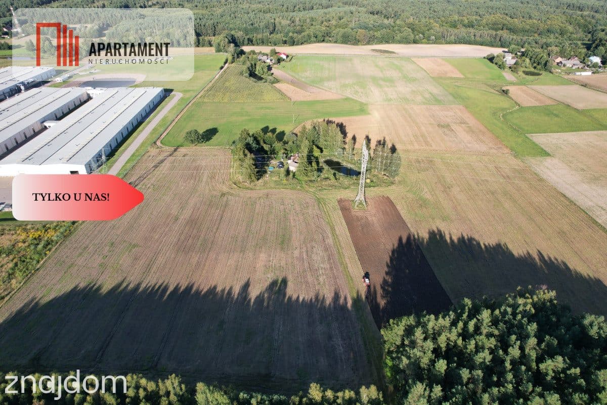 Siedlisko 11,75 ha z prywatnym lasem - zdjęcie 7