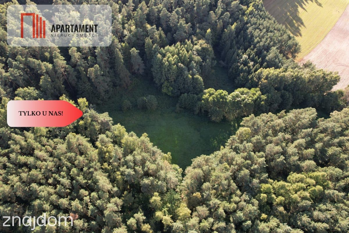 Siedlisko 11,75 ha z prywatnym lasem - zdjęcie 12