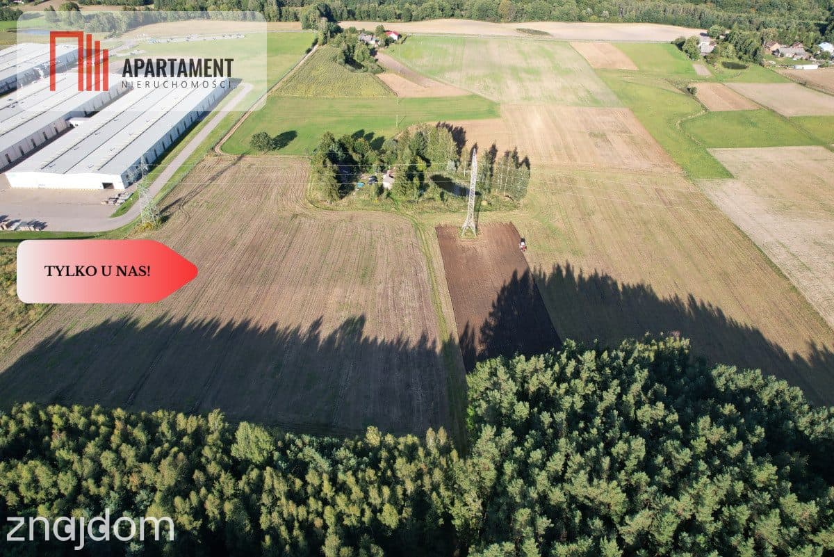 Siedlisko 11,75 ha z prywatnym lasem - zdjęcie 8