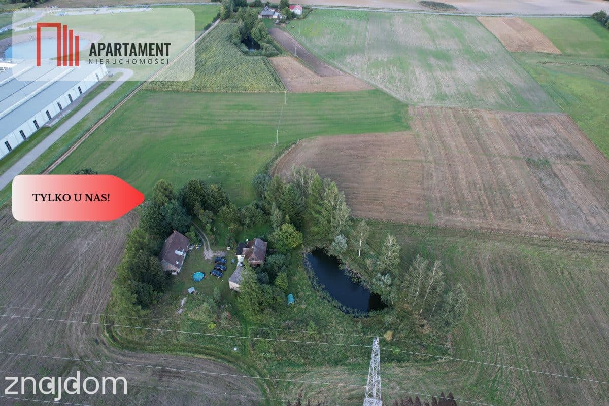 Siedlisko 11,75 ha z prywatnym lasem - zdjęcie 5