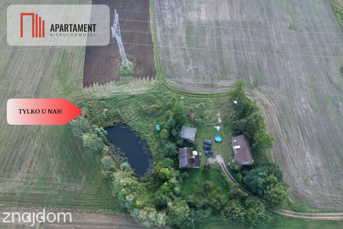 Siedlisko 11,75 ha z prywatnym lasem - zdjęcie 4