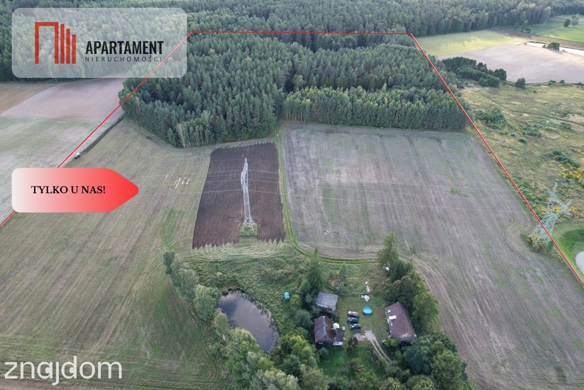 Siedlisko 11,75 ha z prywatnym lasem - zdjęcie 2
