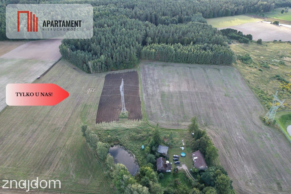 Siedlisko 11,75 ha z prywatnym lasem - zdjęcie 3