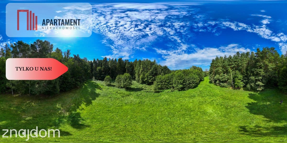 Siedlisko 11,75 ha z prywatnym lasem - zdjęcie 14
