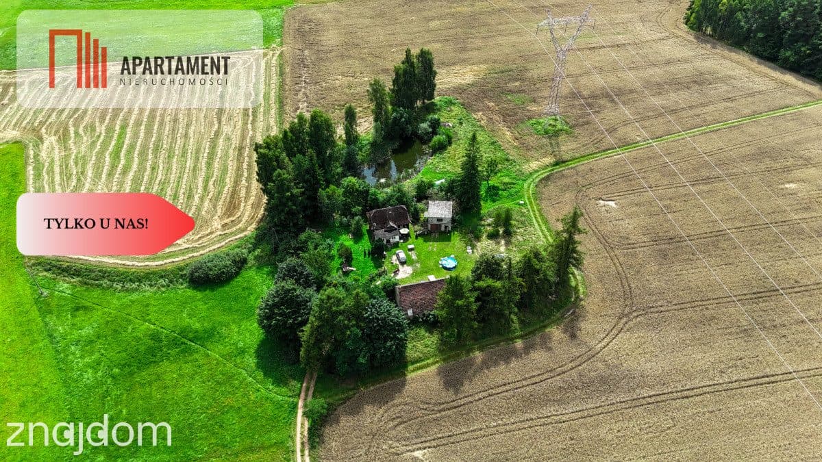 Siedlisko 11,75 ha z prywatnym lasem - zdjęcie 15