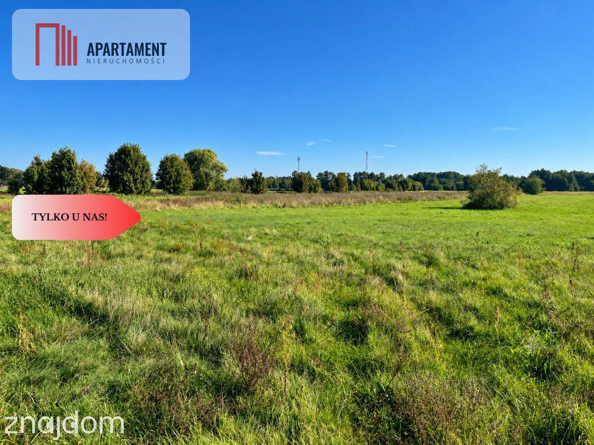 Łabiszyn | 1740 m² | WZ | Wszystkie media w drodze - zdjęcie 3