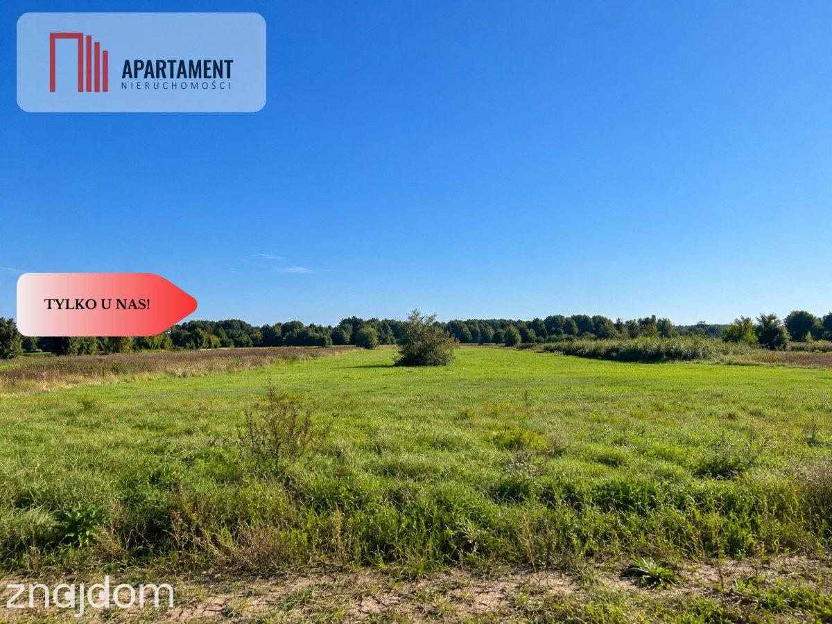 Łabiszyn | 1740 m² | WZ | Wszystkie media w drodze - zdjęcie 2