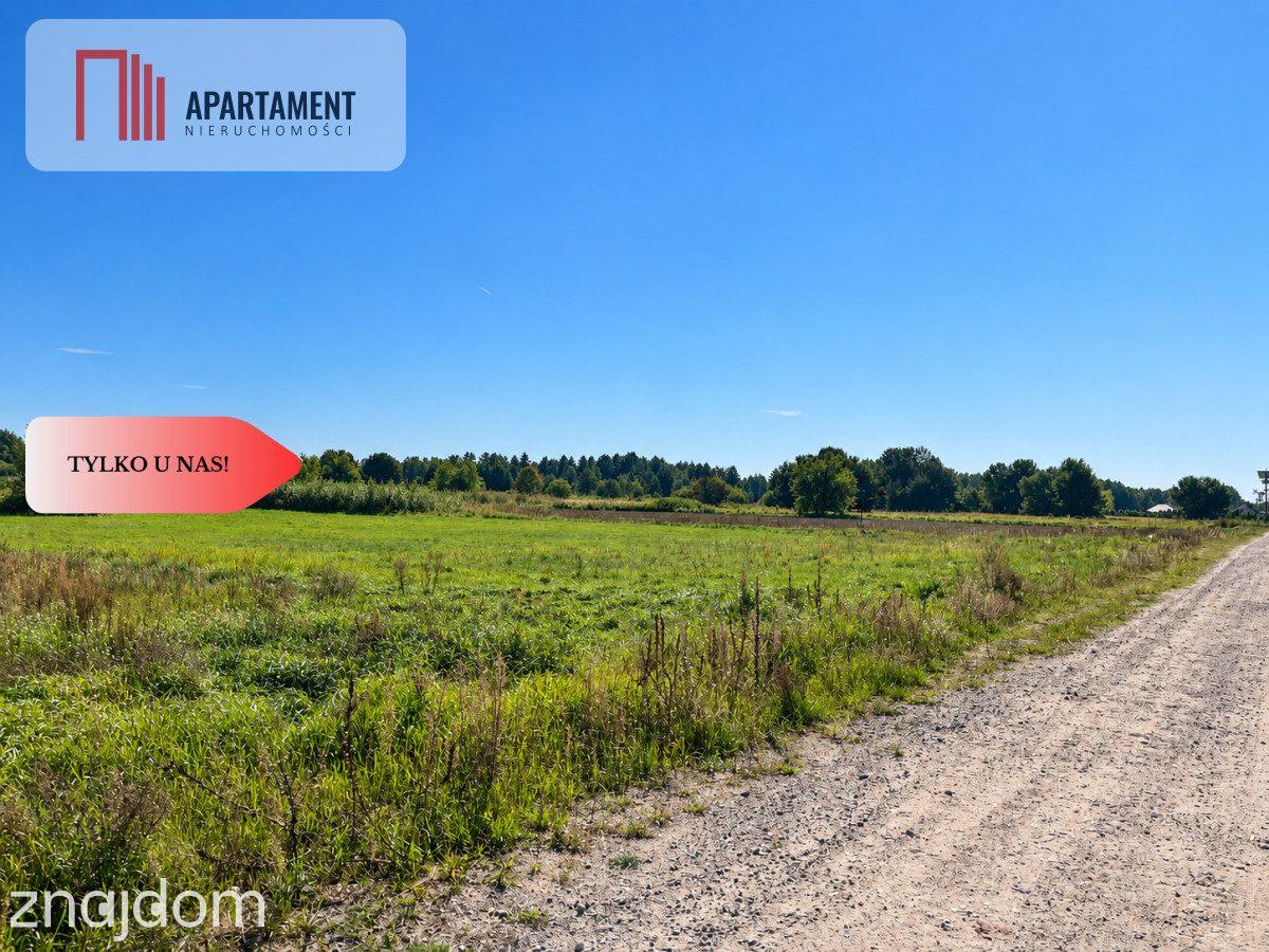 Łabiszyn | 1740 m² | WZ | Wszystkie media w drodze - zdjęcie 5