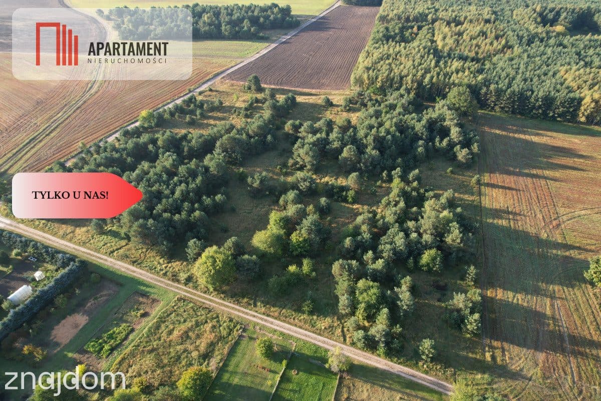 Tylko u Nas! Duże działki z warunkami zabudowy!