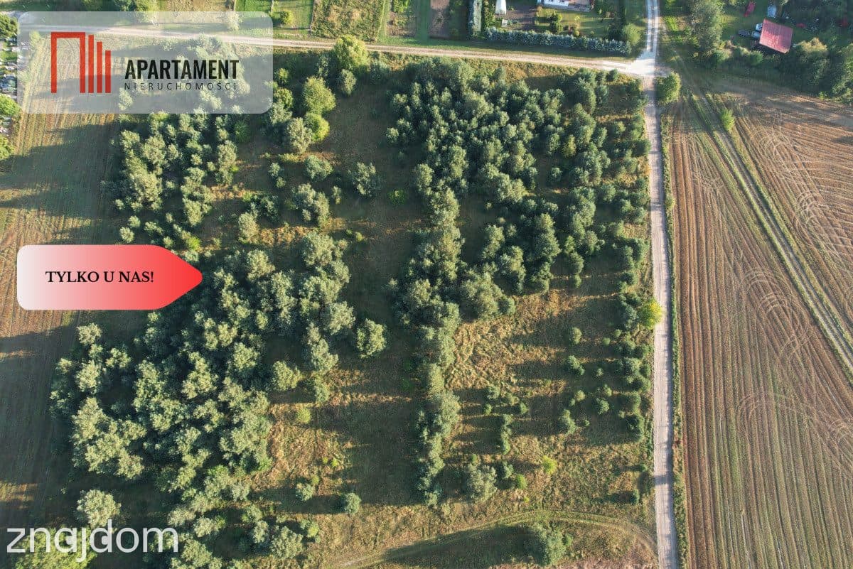 Tylko u Nas! Duże działki z warunkami zabudowy! - zdjęcie 14