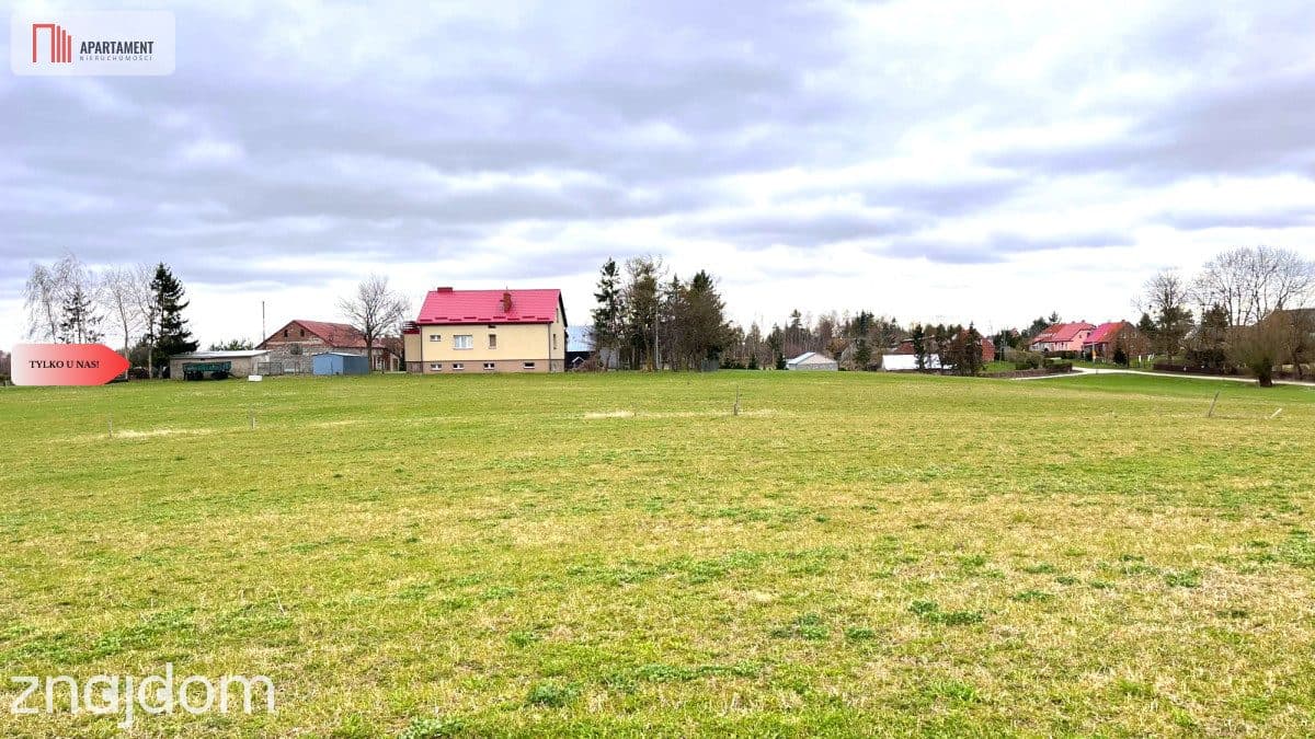 4 działki rekreacyjne 300m2 od jeziora - zdjęcie 11