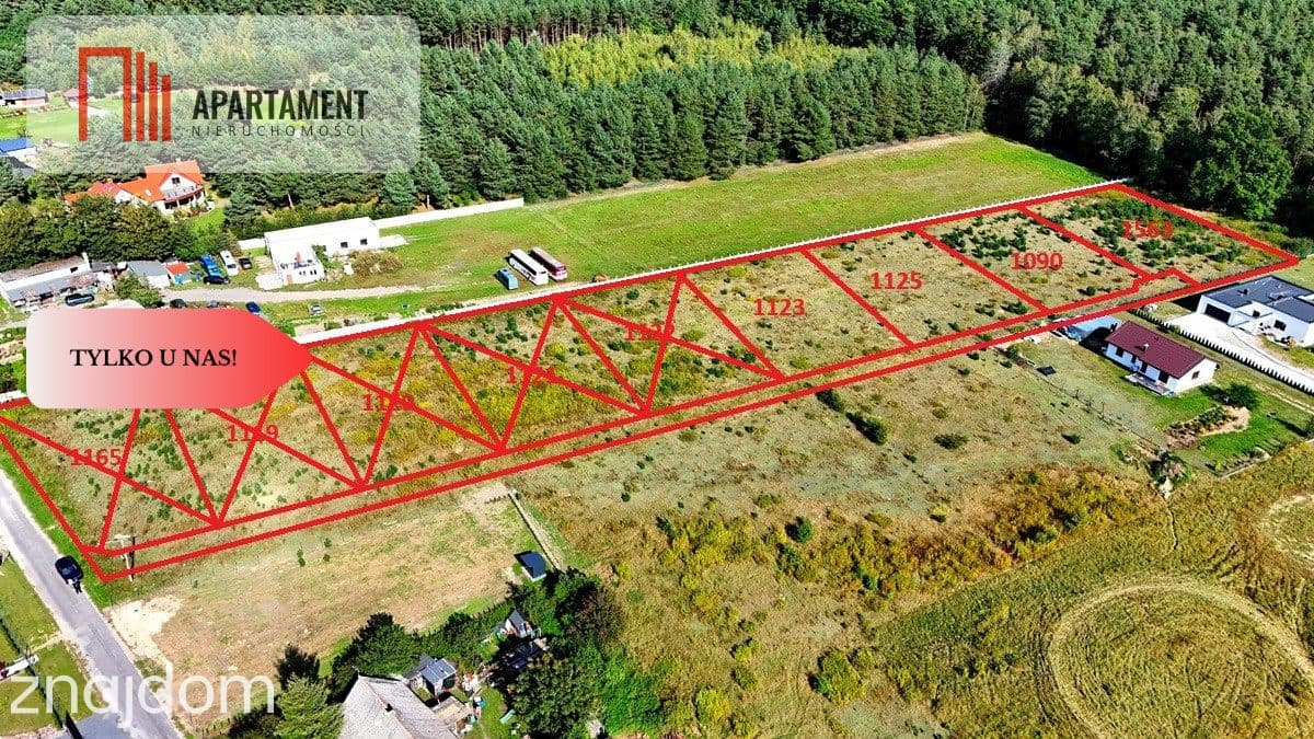 Działka Wałdowo Królewskie 1563m przy ścianie lasu - zdjęcie 3