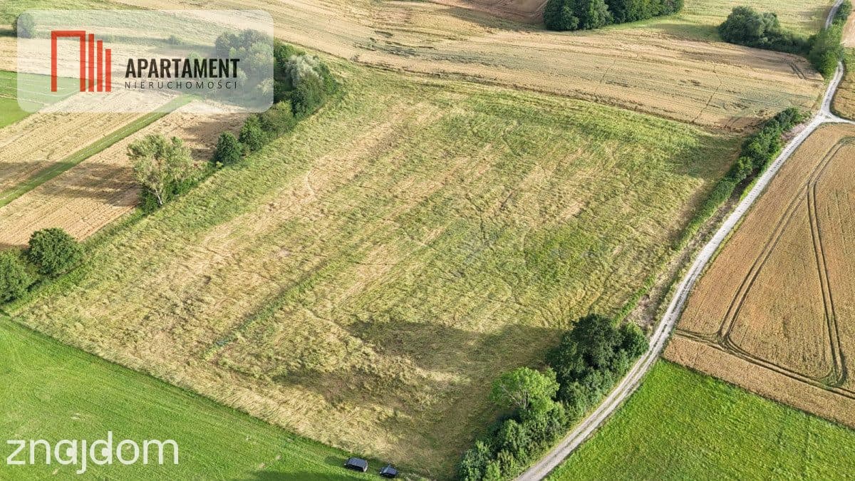 Działki  4 km od plaży, Będzino, w otoczeniu lasów - zdjęcie 8