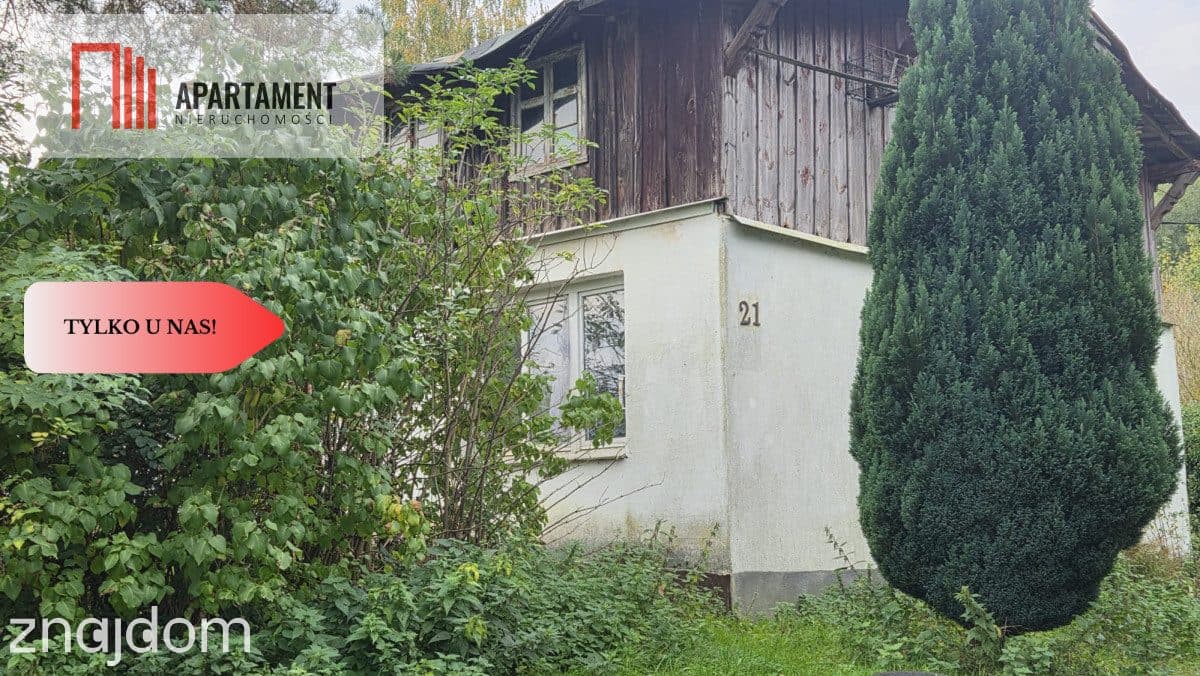 1.17ha klimatu i potencjału z własnym lasem - zdjęcie 3