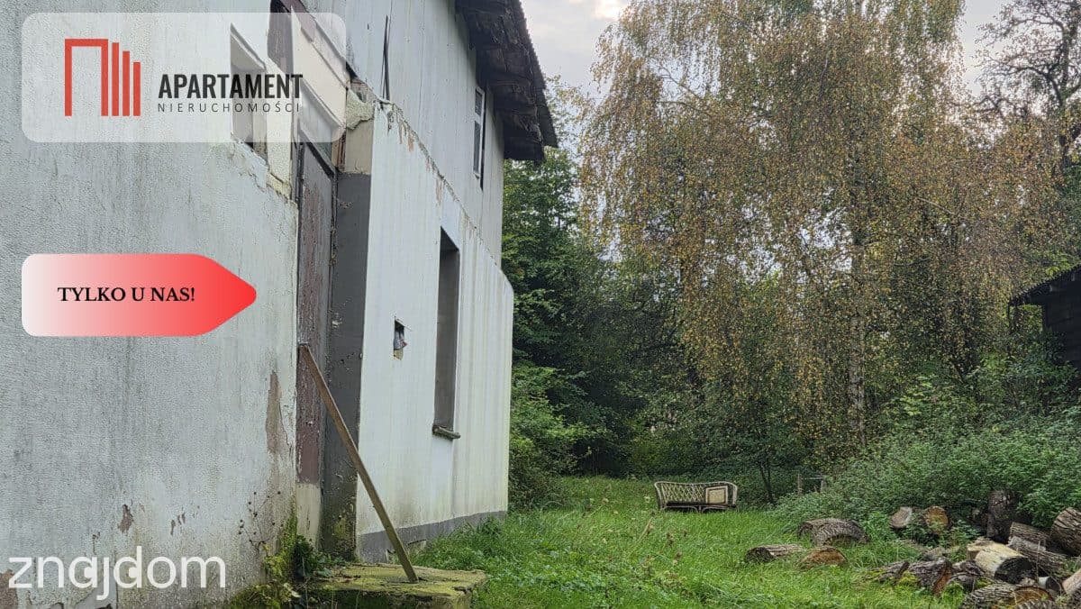 1.17ha klimatu i potencjału z własnym lasem - zdjęcie 4
