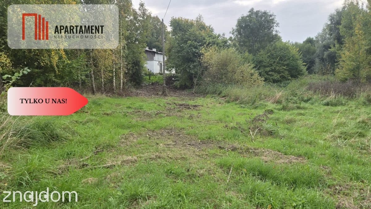 1.17ha klimatu i potencjału z własnym lasem - zdjęcie 13