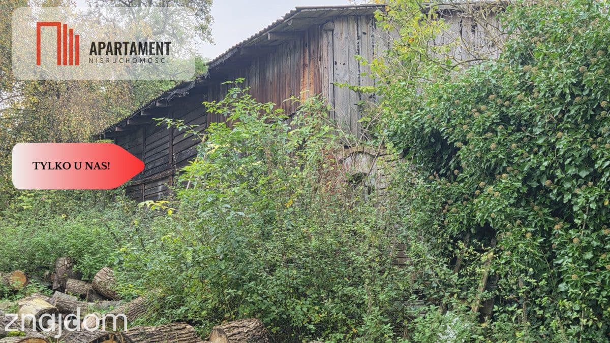 1.17ha klimatu i potencjału z własnym lasem - zdjęcie 9