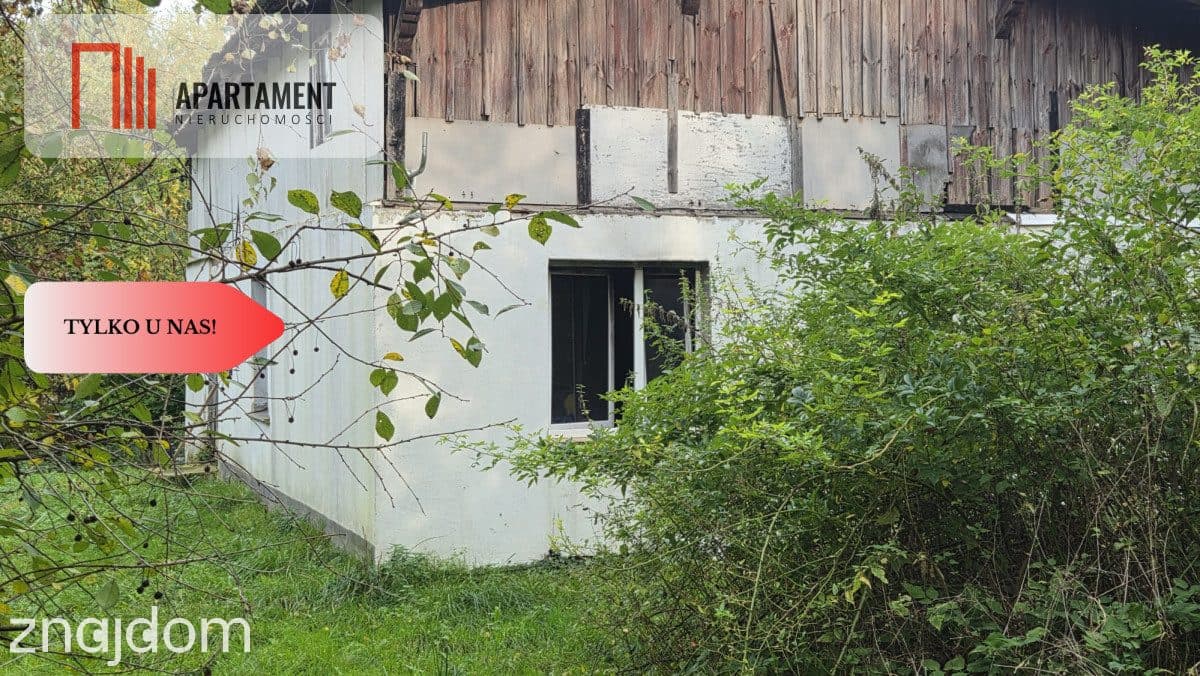 1.17ha klimatu i potencjału z własnym lasem - zdjęcie 2