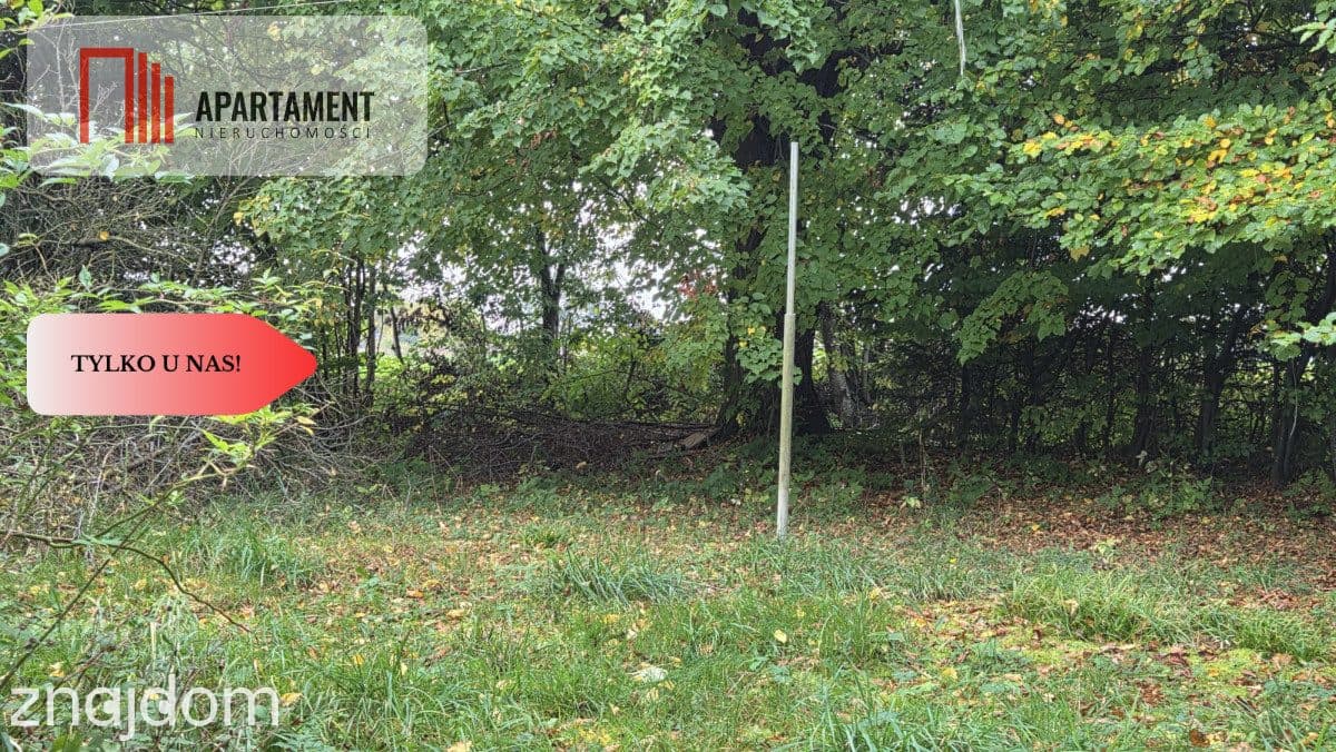 1.17ha klimatu i potencjału z własnym lasem - zdjęcie 19