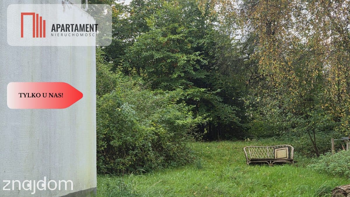 1.17ha klimatu i potencjału z własnym lasem - zdjęcie 20