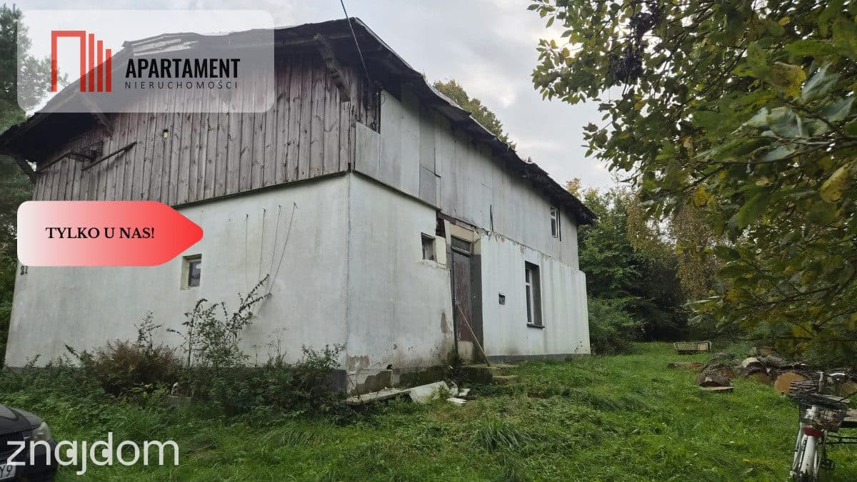 1.17ha klimatu i potencjału z własnym lasem - zdjęcie 6
