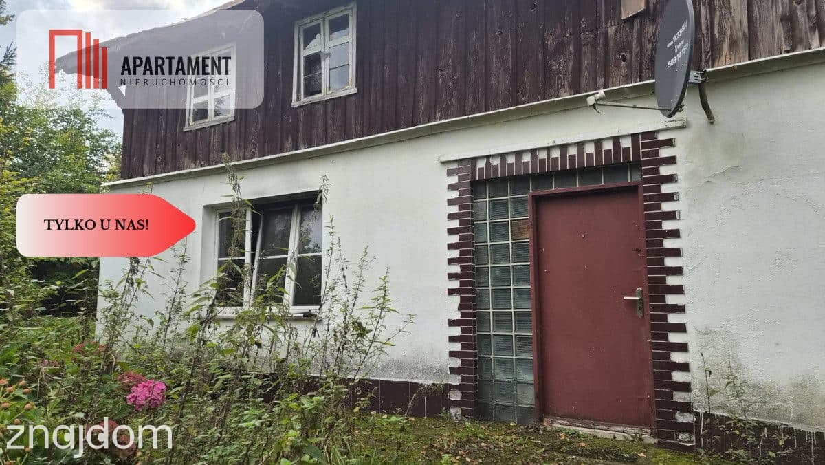 1.17ha klimatu i potencjału z własnym lasem - zdjęcie 7