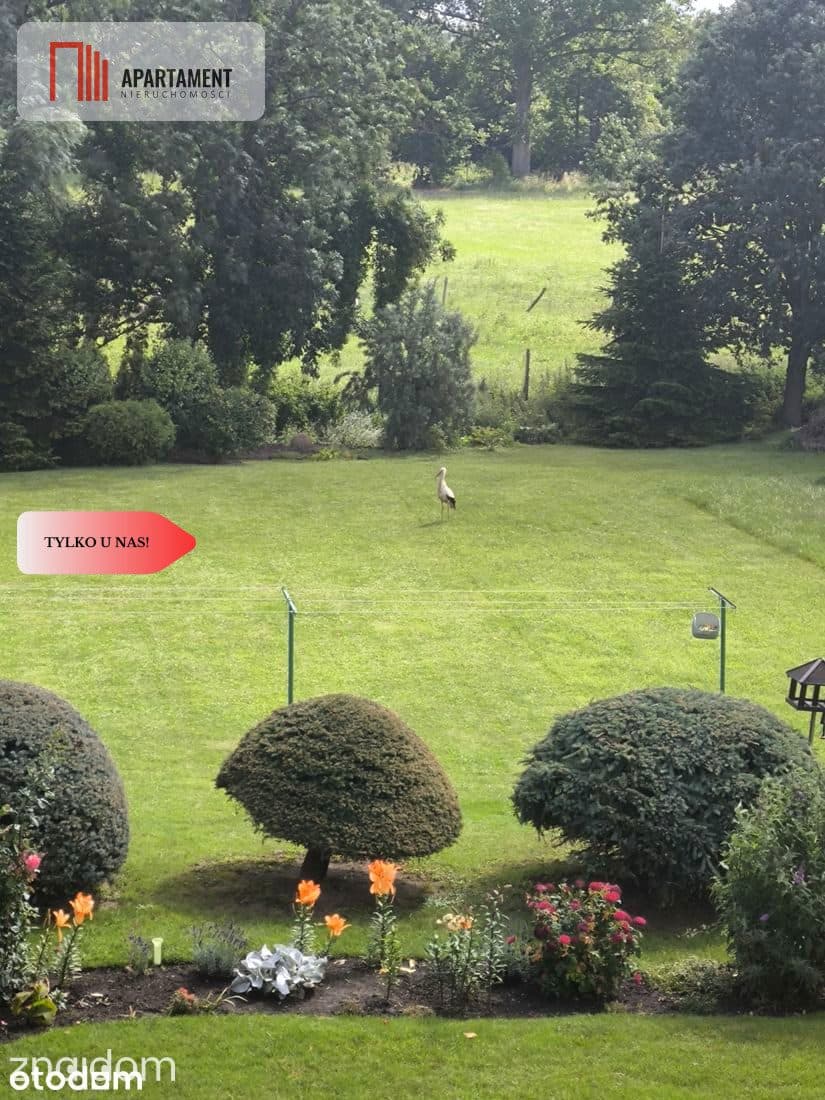 3 pokoje | 75 m² | Garaż | Balkon | Olszewka - zdjęcie 11