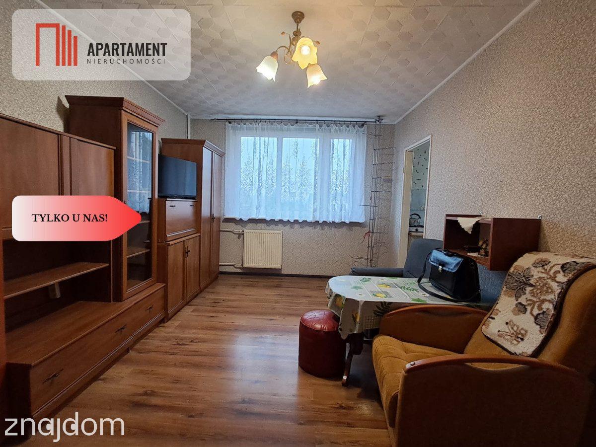 2. piętro | Kawalerka 26,2 m² | Pelplin, Kopernika - zdjęcie 2