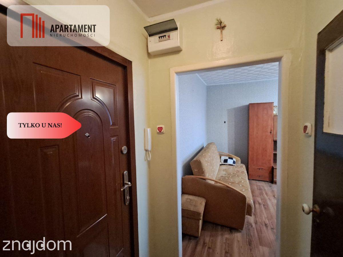 2. piętro | Kawalerka 26,2 m² | Pelplin, Kopernika - zdjęcie 9