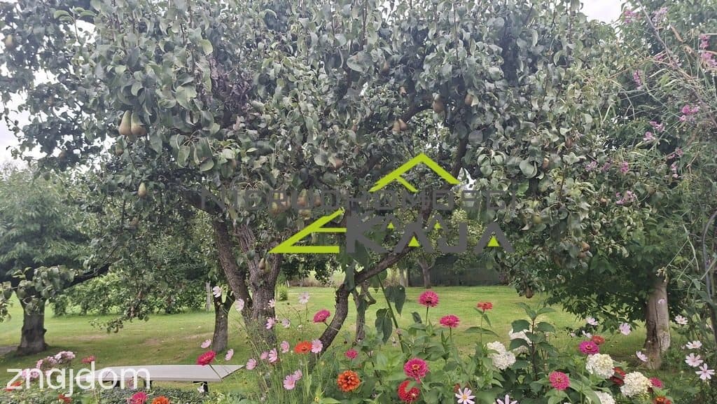 BOBROWICE - DOM PO REMONCIE, PIĘKNA DZIAŁKA - zdjęcie 15