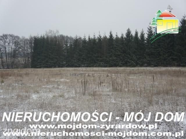 Działka mieszkaniowo - usługowa, Adamowice. - zdjęcie 2