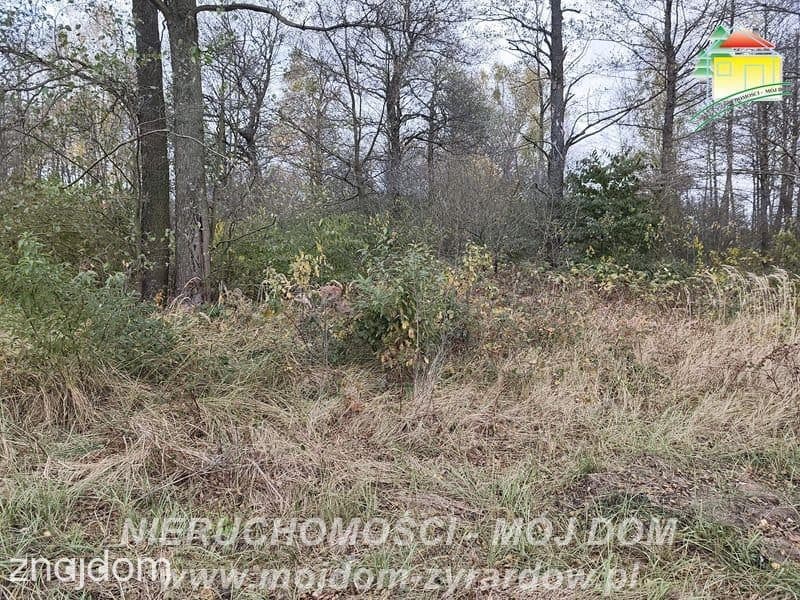 Działka budowlana w Radziwiłłowie. - zdjęcie 3