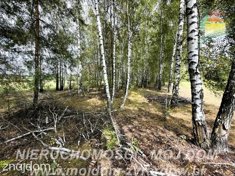 Działka rolno-leśna w Petrykozach – 16 975 m2! - zdjęcie 10
