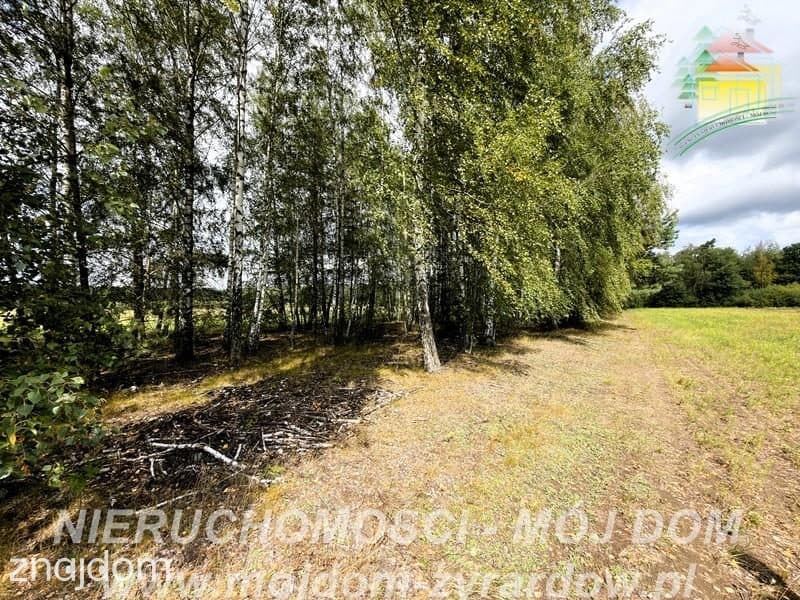 Działka rolno-leśna w Petrykozach – 16 975 m2! - zdjęcie 11