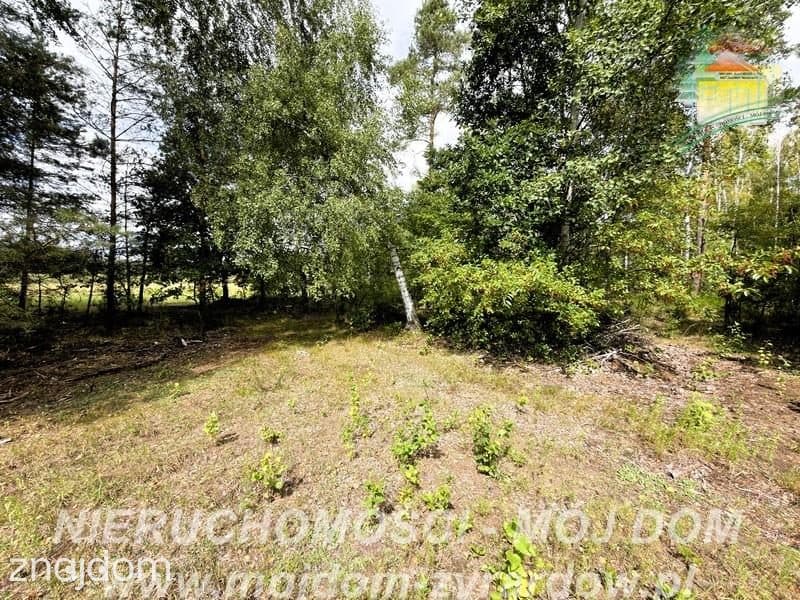 Działka rolno-leśna w Petrykozach – 16 975 m2! - zdjęcie 12
